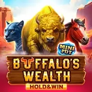 Buffalo’s Wealth Hold And Win screenshot